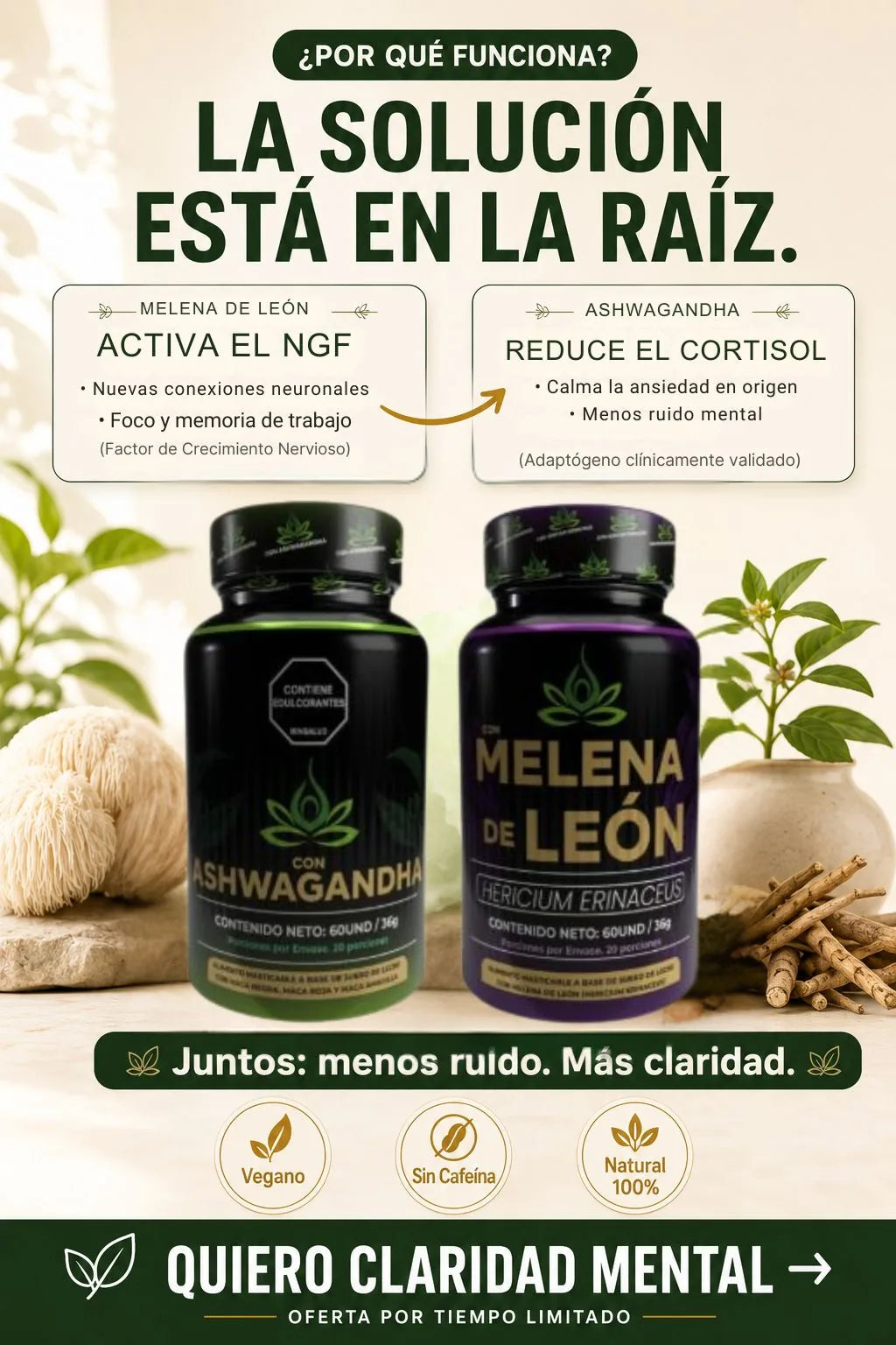 La solucion esta en la raiz - NGF y cortisol